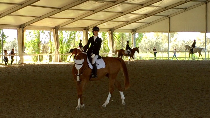 foto dressage equiconfor