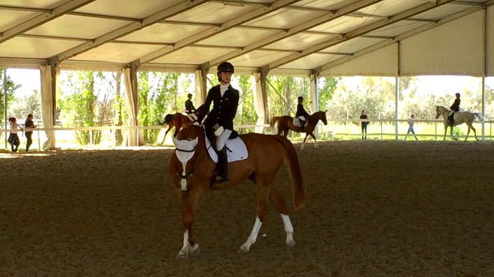 foto dressage equiconfor