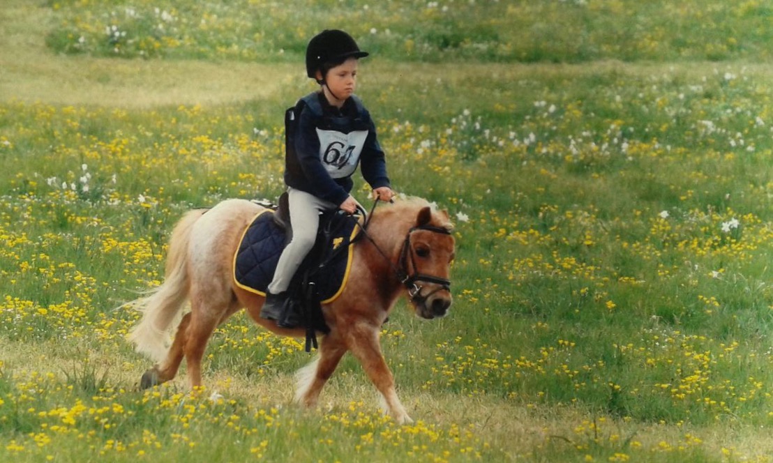 prom. eventing trekking horse