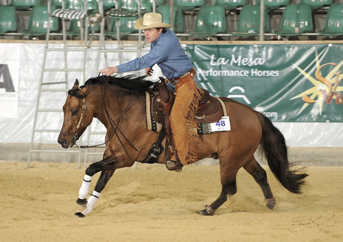 Andrea_Castrucci_2-reining.jpg