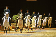 Gala_equestre_2