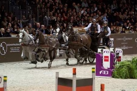 Attacchi Driving Verona