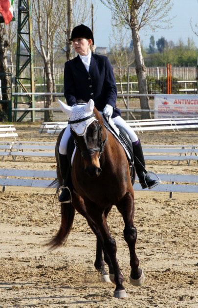 dressage Ninfa