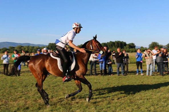 Emanuele Fondi Felicidad