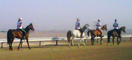 endurance_abu_dabi