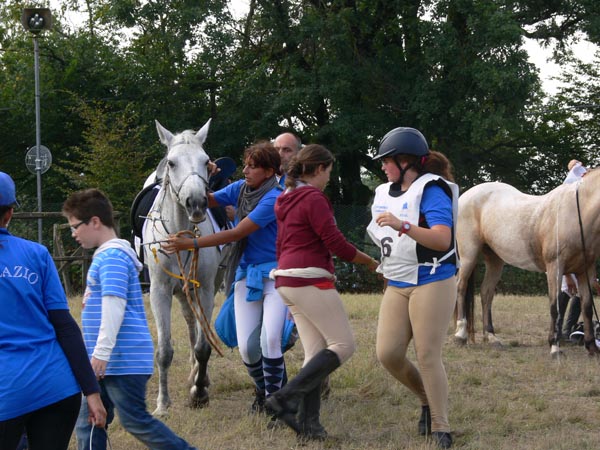 Endurance Pony CEF