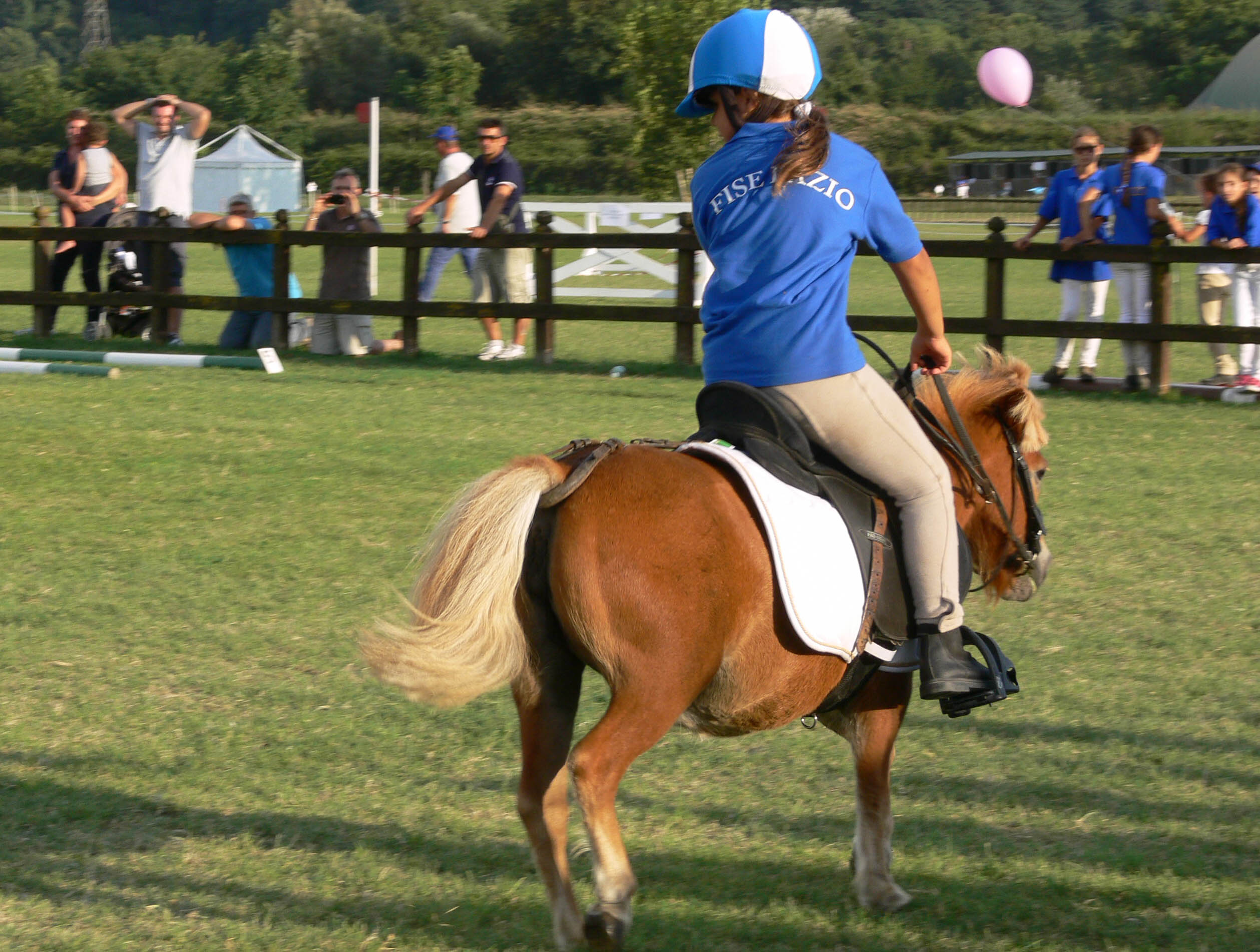 Pony Club generica