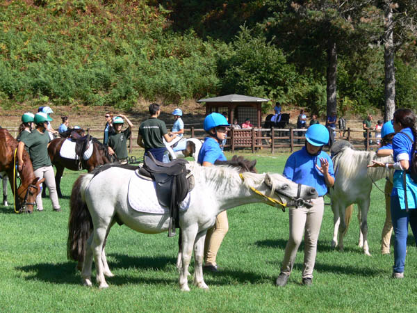 Ponyadi_1