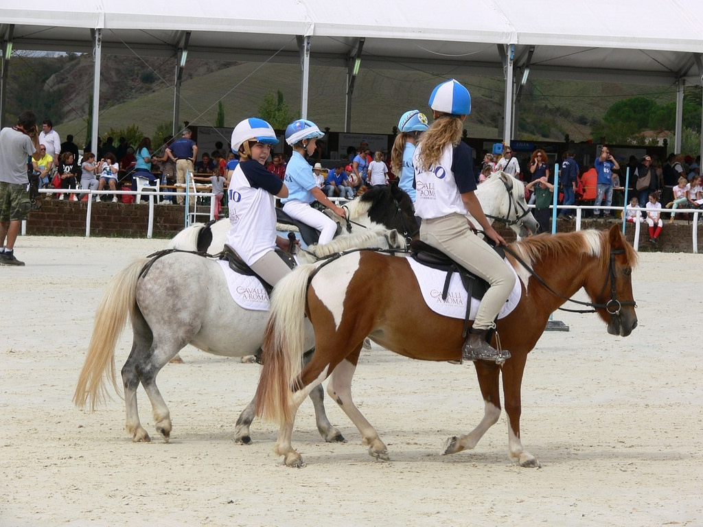 Ponyadi 2014
