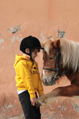 pony fun