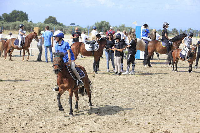 ponyamo2016