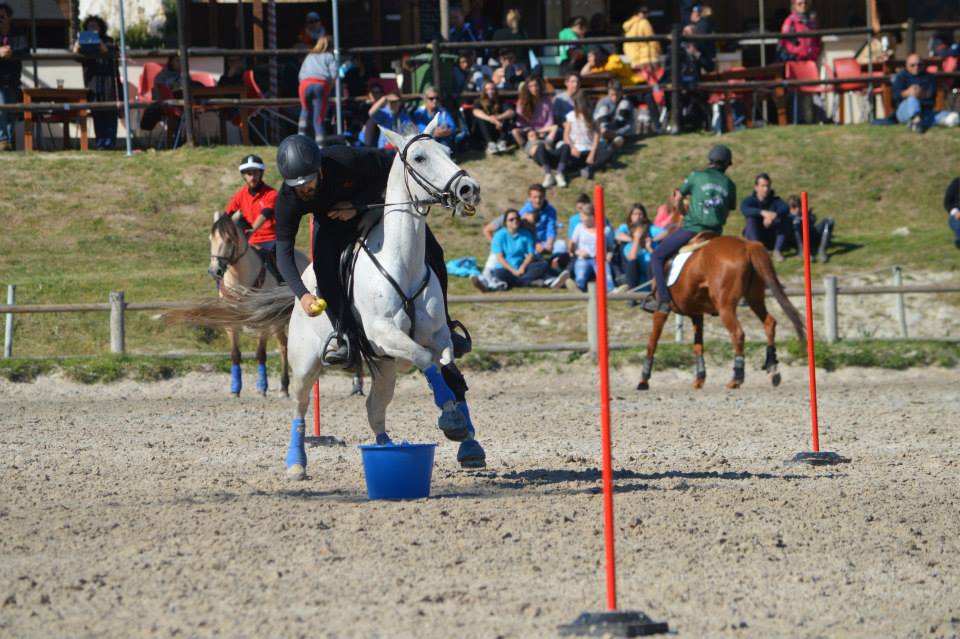 valerio Verdi mounted games peter dale