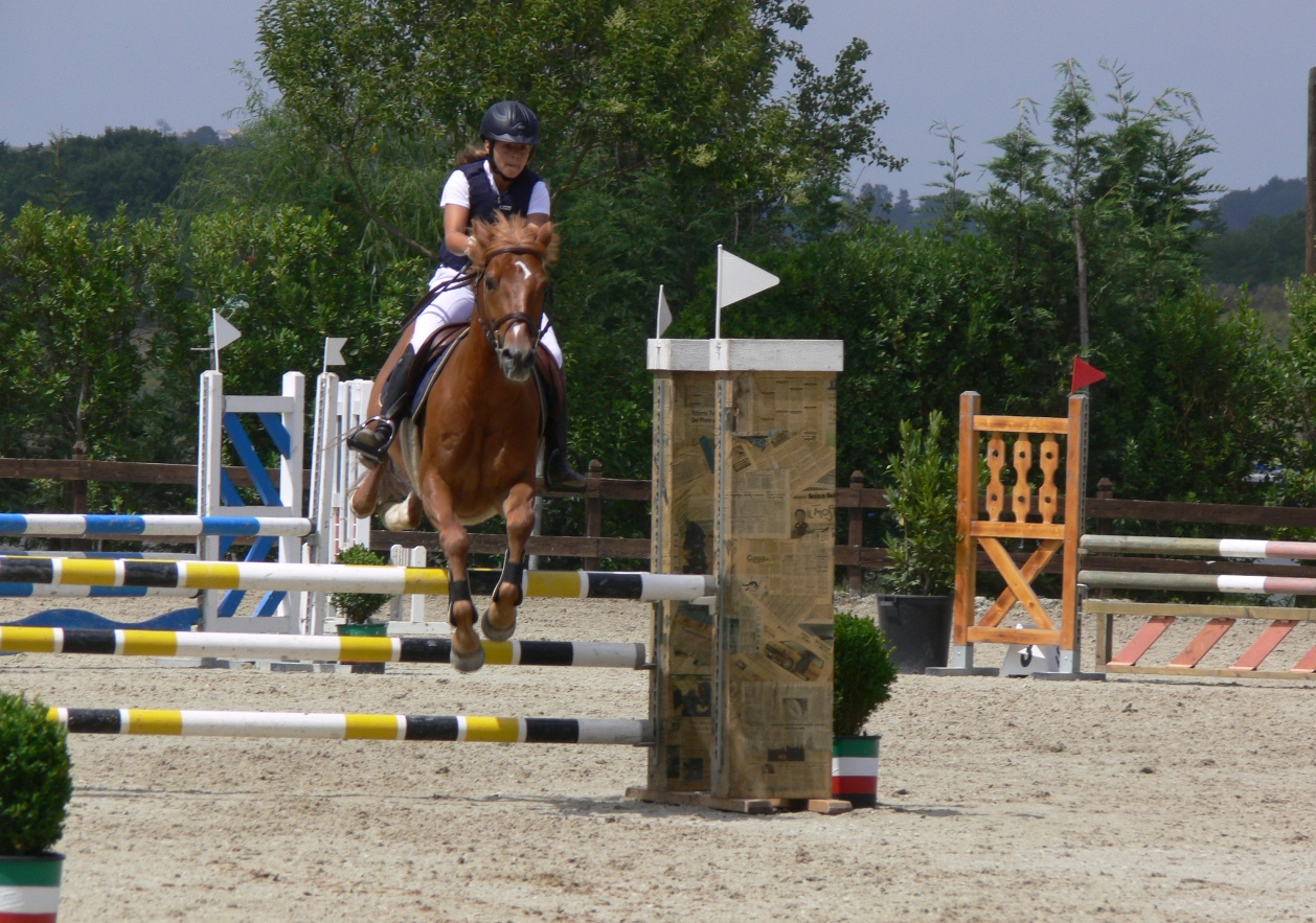 Pony Cassia A