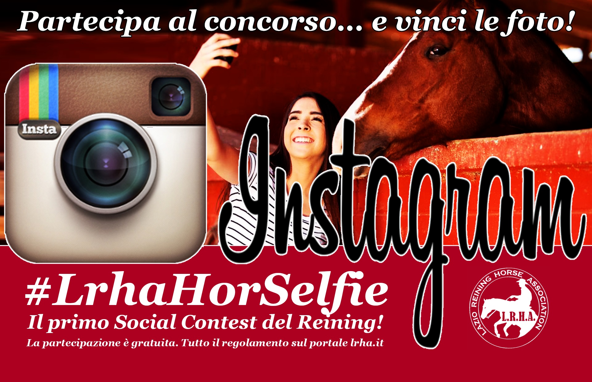 concorso lrhahorselfie 5