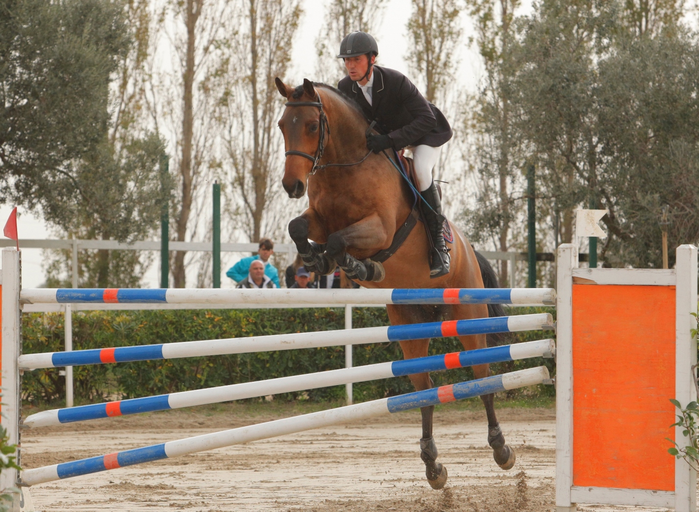Apolloni Baby Arco ott