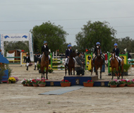 Athlion_2_sito