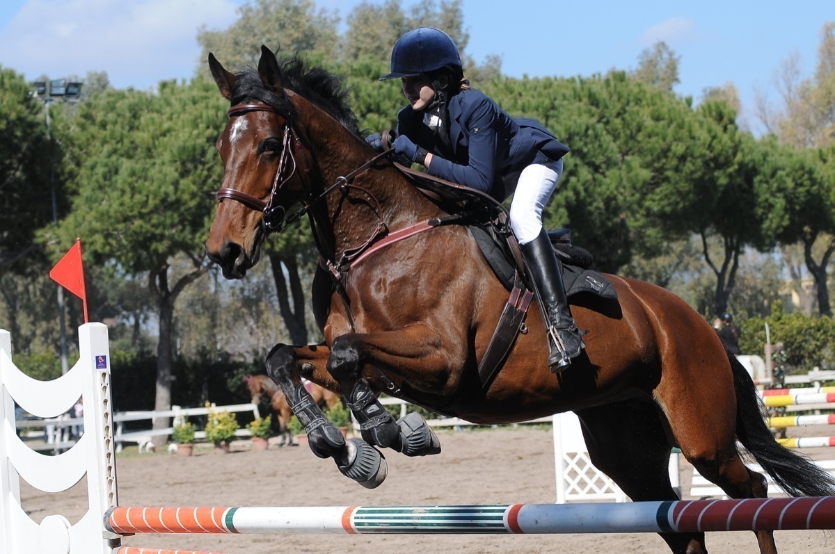 Beatrice Bucci