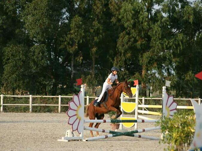 Equestrian Center CG