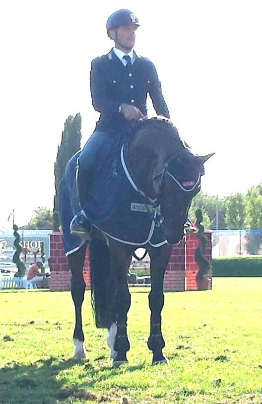 david sbardella