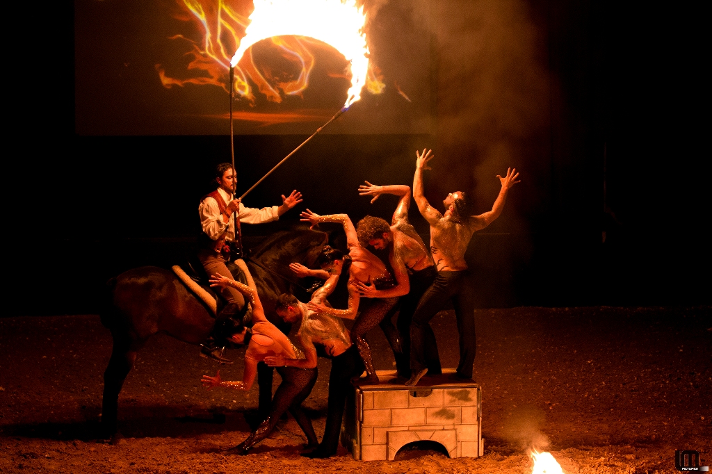 HorseDance Coppetta