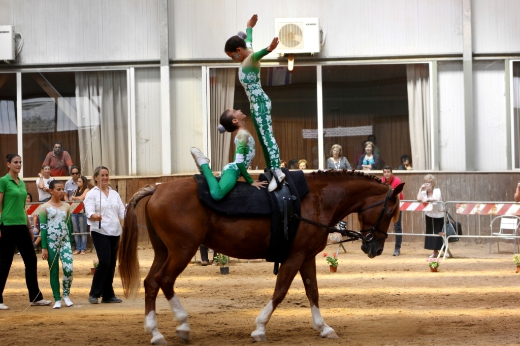 Volteggio Campionati Italiani 2013